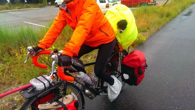 HIVD4j1SUG65nK8Ts7kHee2v96VGHZgrAFkevNASh9s