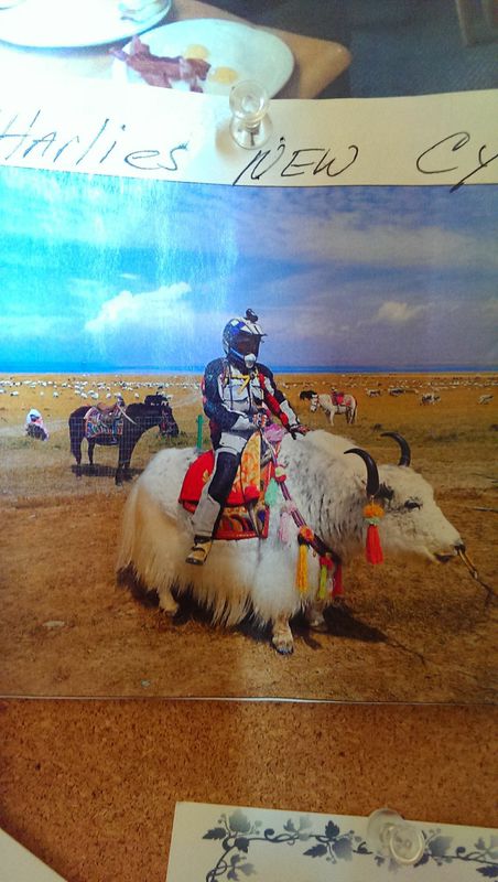 UnWc8NgGIMoxuKuNVLfUHX1nLaY18F8WOp22SKH5M50