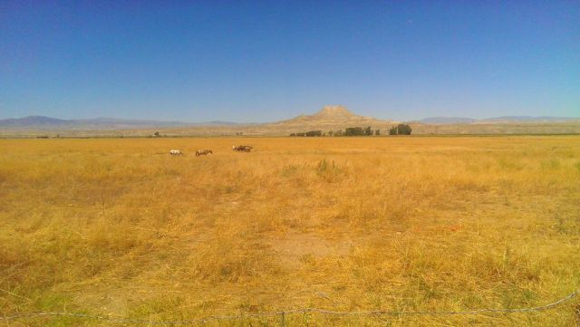 v9HnE-BIbcAwQn1rsy207Z55FMWpQdTS39-fVJsc_WY