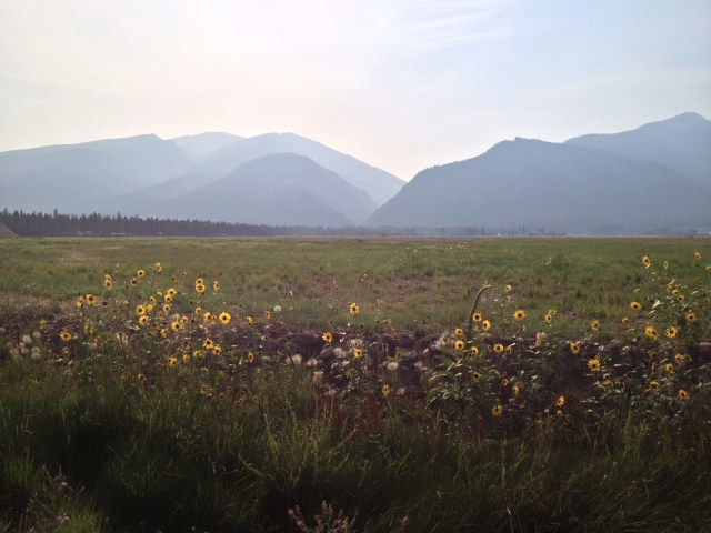 2014-08-10 17.19.01 HDR