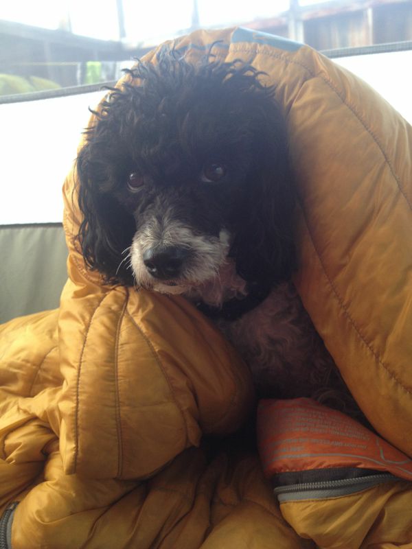 NfUIZAGpa6uRTT-_T-dAViJIbMHqfzaKfdk0eNFyg2U