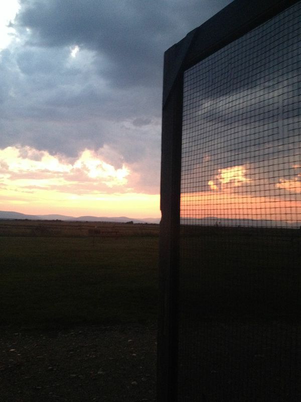 vLrCL8VRXHC7P0KER5uzC9URZnQDInDkAfNs77brTXo