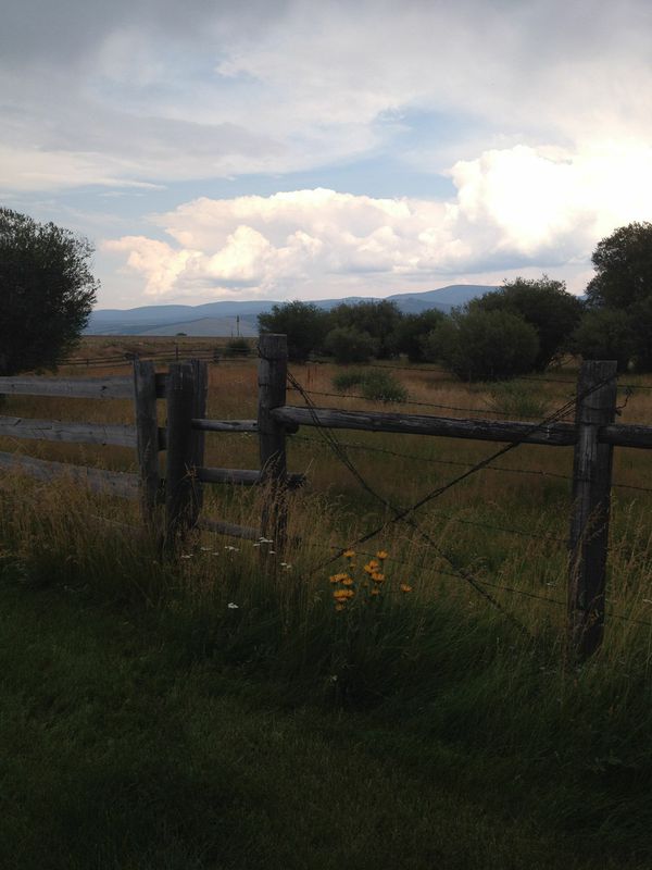 yQY7Dkl8aHpssgdW36ieuzJS-cnxZyCjlo5qVSXQF34